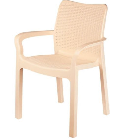 Стул пластиковый 506x580x833 мм (сливочный) Rattan InGreen ING6182СЛВ