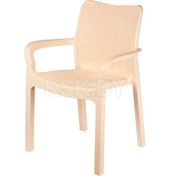 Стул пластиковый 506x580x833 мм (сливочный) Rattan InGreen ING6182СЛВ (ING6182СЛВ) 