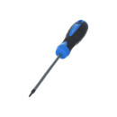 Отвертка TORX T10х100 мм S2 HOEGERT HT1S053 (HT1S053) 