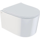 Подвесной унитаз IDDIS Stone ( STORDSEi25) 