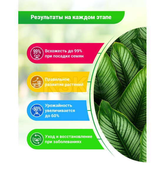 Удобрение БИО-комплекс Суспензия Хлореллы 1л