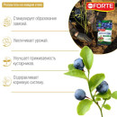 Удобрение Bona Forte Для Голубики и лесных ягод 2,5 кг