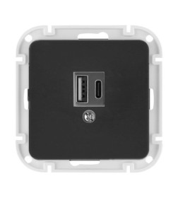 Розетка USB+Type-C с/у карбон Astrum Bylectrica РП5-6561