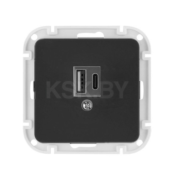 Розетка USB+Type-C с/у карбон Astrum Bylectrica РП5-6561 (РП5-6561 карбон) 