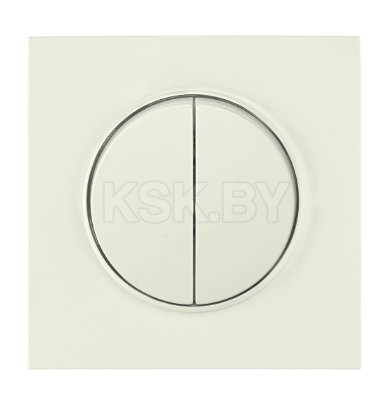 Выключатель 2-кл. с/у 10А (с рамкой) бежевый Прованс Bylectrica С5 10-2302 (С5 10-2302 бежевый) 