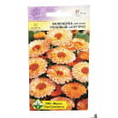 Календула Розовый сюрприз махровая