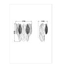 Настенный светильник Arte Lamp FELICITA A4080AP-2GO (A4080AP-2GO) 