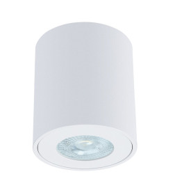 Точечный накладной светильник Arte Lamp TINO A1469PL-1WH