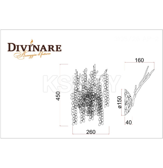 Настенный светильник Divinare SALICE 3135/26 AP-2 (3135/26 AP-2) 