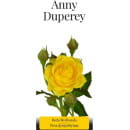 Роза флорибунда Anny Duperey