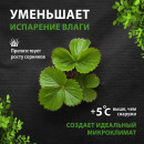 Укрывной материал АгроСпанбонд Мульча 30 г/м.кв. 1,6х10м