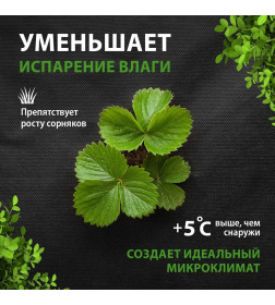 Укрывной материал АгроСпанбонд Мульча 30 г/м.кв. 1,6х10м