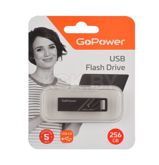 Флеш-накопитель GoPower TITAN 256GB USB3.0 металл черный графит (00-00027356) 