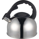 Чайник со свистком Astiat 2.5л AST1021 (AST1021) 