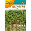 Земляника Аттила 0,2г семена.