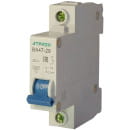 Выключатель автоматический ВА 47-29 1Р 50А  хар. С Атрион