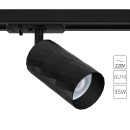 Светильник потолочный Arte Lamp FANG A5560PL-1BK (A5560PL-1BK) 