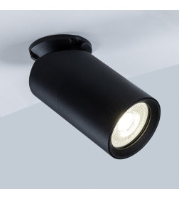 Светильник потолочный Arte Lamp NODO A3213PL-1BK