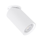Светильник потолочный Arte Lamp NODO A3213PL-1WH (A3213PL-1WH) 