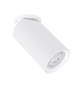 Светильник потолочный Arte Lamp NODO A3213PL-1WH