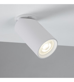 Светильник потолочный Arte Lamp NODO A3213PL-1WH