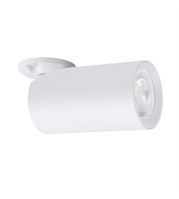 Светильник потолочный Arte Lamp NODO A3213PL-1WH