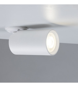 Светильник потолочный Arte Lamp NODO A3213PL-1WH