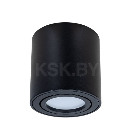 Светильник потолочный Arte Lamp BEID A1513PL-1BK (A1513PL-1BK) 