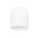 Светильник потолочный Arte Lamp BEID A1513PL-1WH (A1513PL-1WH) 