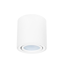 Светильник потолочный Arte Lamp BEID A1513PL-1WH