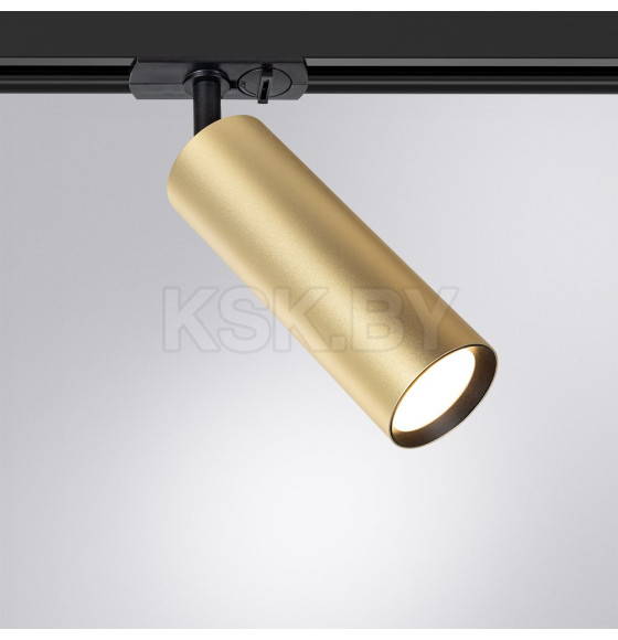 Светильник потолочный Arte Lamp BEID A1515PL-1SG (A1515PL-1SG) 