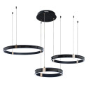 Светильник подвесной Arte Lamp SHINE A2222SP-3BK (A2222SP-3BK) 