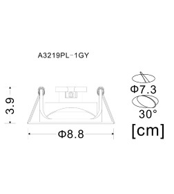 Светильник потолочный Arte Lamp ACCENTO A3219PL-1GY