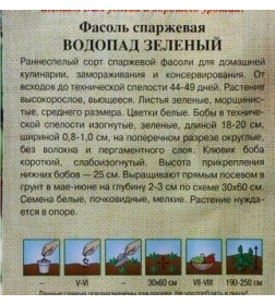 Фасоль Водопад зеленый 5г семена.