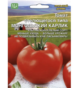Томат Монг семенаольский Карлик стелющег семенаося типа (кр) 20шт семена