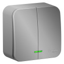 Выключатель 2кл. с подсветкой о/у 10А алюминий Schneider Electric Blanka (BLNVA105113) 