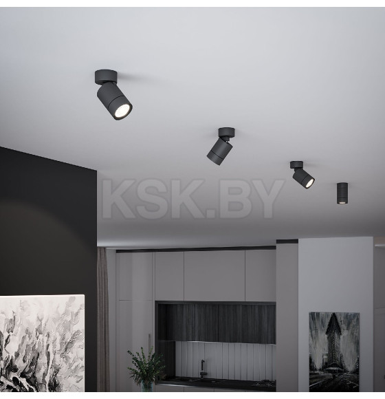 Светильник накладной Niro черный 25013/01 (a065463) 
