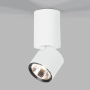 Светильник потолочный светодиодный 10W 4000K белый 25042/LED (a063679) 