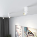Светильник потолочный светодиодный 10W 4000K белый 25042/LED (a063679) 