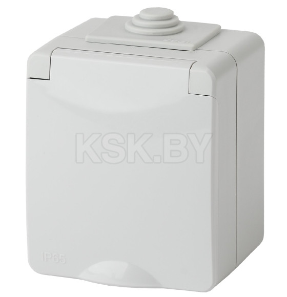 Розетка 2P+E IP65, шторки, 16A-250В, ОУ, серый | Б0035990 | ЭРА 11-2602-03 (Б0035990) 