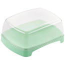 Масленка Cake (чайное дерево) BEROSSI ИК 40362000 (ИК 40362000) 