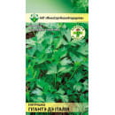 Петрушка Гиганте де Италия 2г