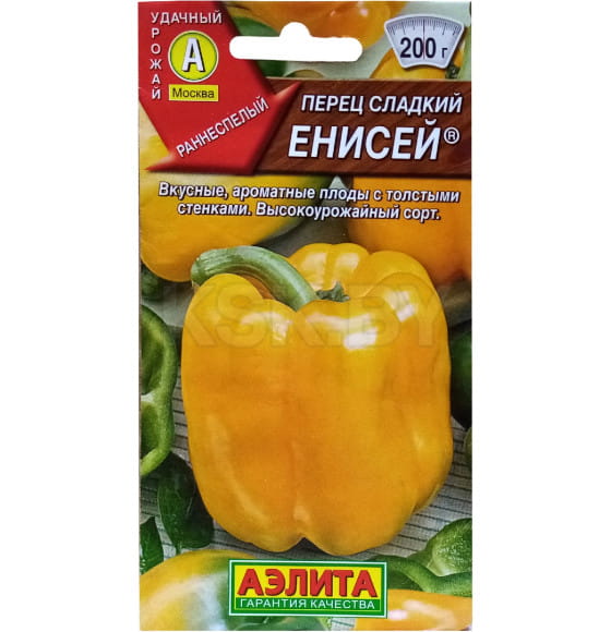 Перец Енисей