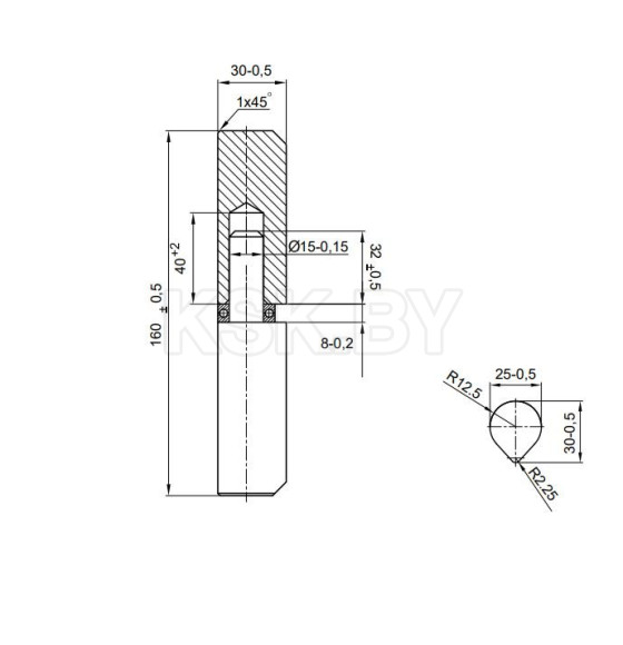 Петля для металлических дверей Apecs  160*25-B