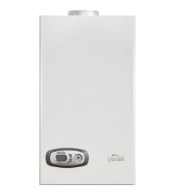 Газовый котел Ferroli Divatech D F24 (Ex) (в комплекте с трубой и коленом)