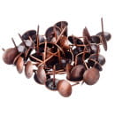 Гвозди мебельные PD-11-АС (100шт), медь (PD-11-АС) 