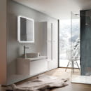 Шкаф зеркальный Silver Mirrors.Киото 50 Led 750х535  (LED-00002357) 