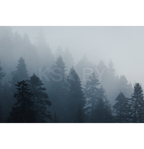 Фотообои Vimala FCZ005626, 2700х4000мм (FCZ005626) 