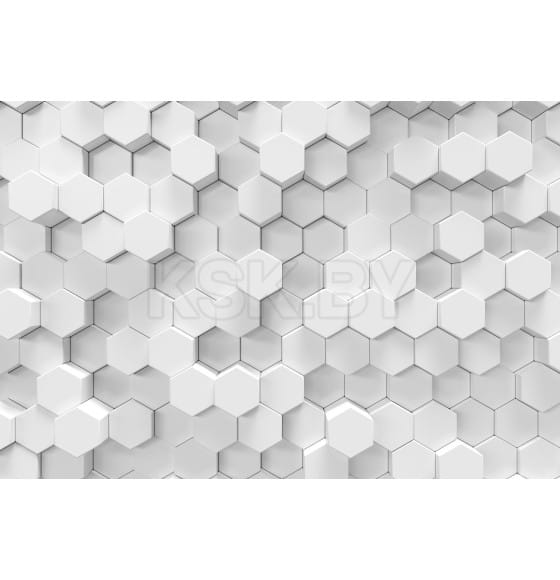 Фотообои Vimala FCZ004816, 2700х4000мм (FCZ004816) 