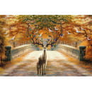 Фотообои Vimala C03526, 2700х4000мм (C03526) 